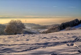 Phoca Thumb M Winter Im Schwarzwald 7861 2009